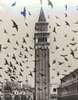 twittering  tower